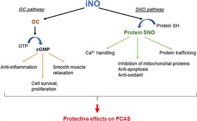 Inhaled Gases as Therapies for Post–Cardiac Arrest Syndrome: A Narrative Review of Recent Developments
